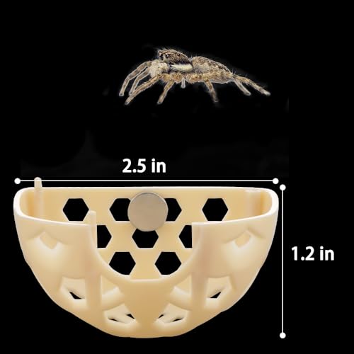 Image of DQITJ Jumping Spider Hidden House Tarantula Enclosure Accessories with Magnet and Water Bowl for Tarantula Insect Praying Mantis Jumping Spider Stick Insect