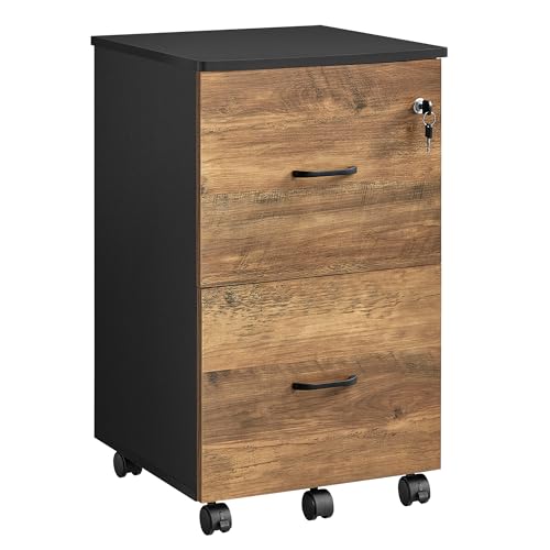 VASAGLE 2-Drawer File Cabinet, Locking Filing Cabinet for Home Office,