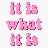 It is What It is Sticker Vinyl Waterproof Sticker Decal Car Laptop Wall Window Bumper Sticker 5'