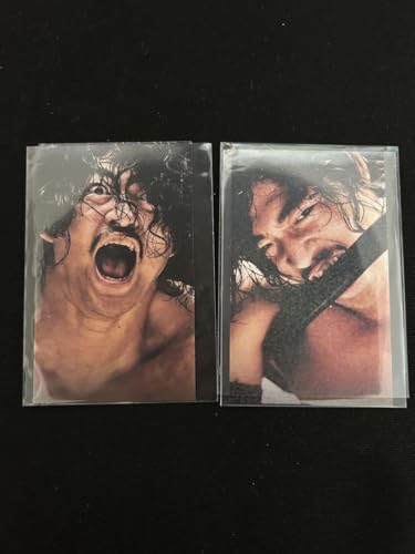 HAKOBUNE トレーディングカード プロレスリング・ノア ozawaのサムネイル