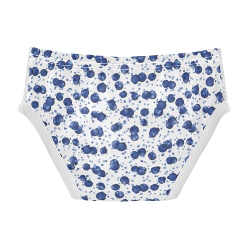 Boys' Exclusive Briefs Toddler Underwear 95% Combed Cotton Boxerbriefs 2T Blueberry Pattern 762
