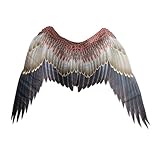RCFINE Angel Wings Cosplay Performance Props Foldable Fairy Outfit Bird Wings Spread Angel Wings Carnival Fancy Dress Accessory for Women Men (Brown)