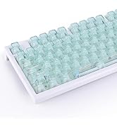 Amazon.co.jp: 「夏限定」キーキャップ 113キー ダブルショット OEM