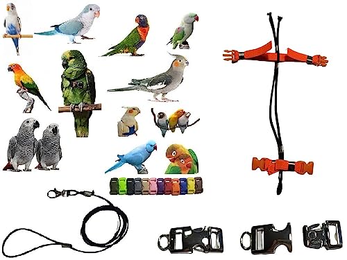 Pechera arnés para loros medianos tipo Lori Arcobaleno con cinta de 10 mm elástica 5