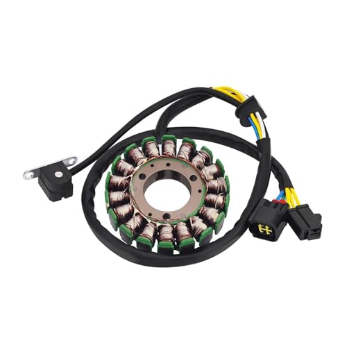 Bobine de stator haute r&eacute;sistance id&eacute;ale pour les longues sorties en DR250 250XC