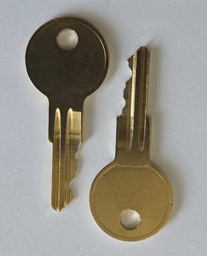 Pair of 2 Keys Cut to Key Code TEM18 for