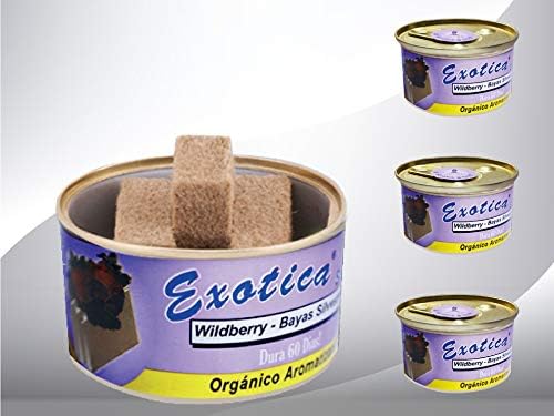 Exotica Car Air Freshener | Spill-Proof Can | Organic | for Home & Auto | Long Lasting Freshness | (Pack of 12) Wild Berry