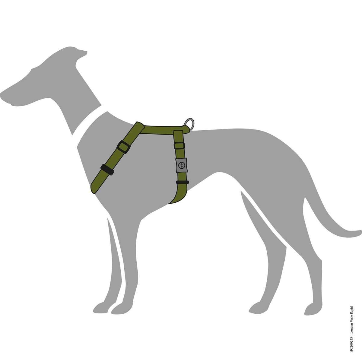 HUNTER London Vario Rapid Harness, Olive Green, Size Mini 18-30/XXS, 4-Way Adjustable, with Safety Clasp, Soft and Flexible - Image 4