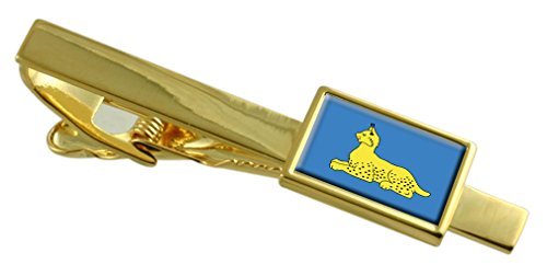 Belarus Bandera Clip de Corbata de Oro elegante de la ciudad de Homel