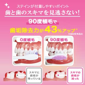 Amazon | リーチホワイトニングEX 歯ブラシ12本セット | 大人用