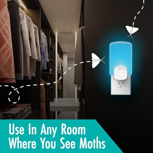 STEM Kit inicial de armadilha de luz (1+2)