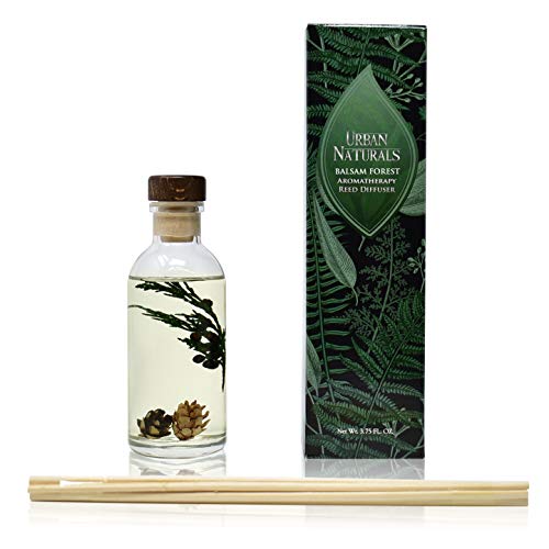 Bundle Difusor y Repuesto Fragancia Balsam Forest miniatura 4