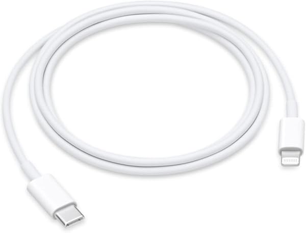 Apple Câble USB-C vers Lightning 1m
