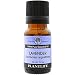 Plantlife Lavender 100% Pure Essential Oil - Bulgarian - 10 ml