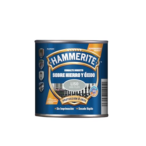 Hammerite Esmalte directo sobre hierro y óxido, Liso Brillante, Color Gris Plata, 250 ml (Paquete de 1)