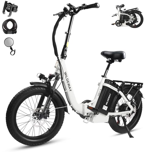Wildeway Folding Electric Bike for Adults with 32Ah Battery Long