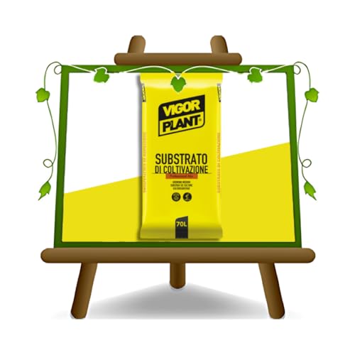 vigorplant terriccio con pomicino 70l