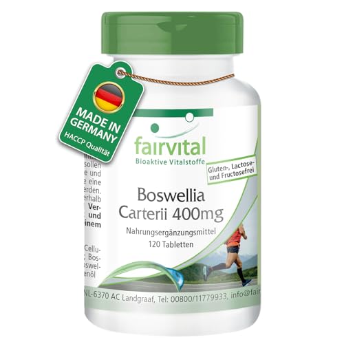 Fairvital | Boswellia carterii 400 mg - 120 comprimidos veganos - Extracto de incienso africano - 65% ácidos boswélicos - calidad probada y altamente dosificado - Made in Germany