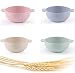Choary Lightweight & Unbreakable Wheat Straw Bowls for baby child, Set of 4 Dishwasher Microwave Safe bowls, Non Toxic, Eco Friendly & Reusable Snack small bowls.