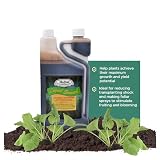 Medina Liquid Seaweed Fertilizer for Plants - Concentrated Seaweed Fertilizer for Lawn and Garden - Enhances Plant Growth and Soil Health - Ready to Spray - 1 Quart Covers 16000 Sq. Ft.