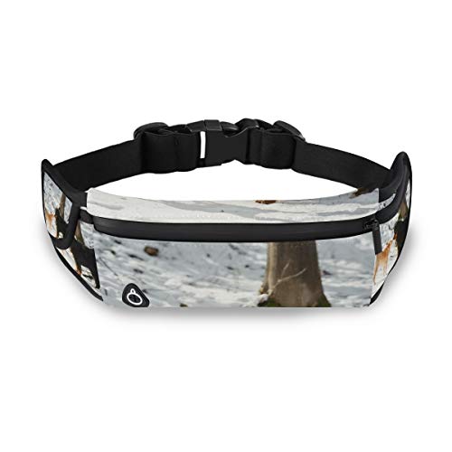 Coperta Quadrata In Cotone Con Cane Bernese - Pure Country 1935x199 Cm - Arredamento Montagna - 3