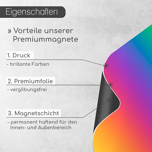 iSecur 4er Set Sachverständigen Lineal Magnetisch I 15 cm I Gutachter Dokumentationshilfe Spaltmaß Riss-Lineal I Kfz I Kontrastlineal I mit Farbskala und Grauskala I mag279