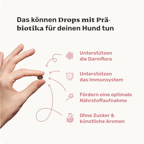 mammaly Probiotika-Drops für Hunde 110g - Verdauungssnacks für Magen Darmflora Aufbau (bei Durchfall, Sodbrennen & Gras fressen) Alternative-Leckerlie zu Heilerde, Kohletabletten als leckere Snacks