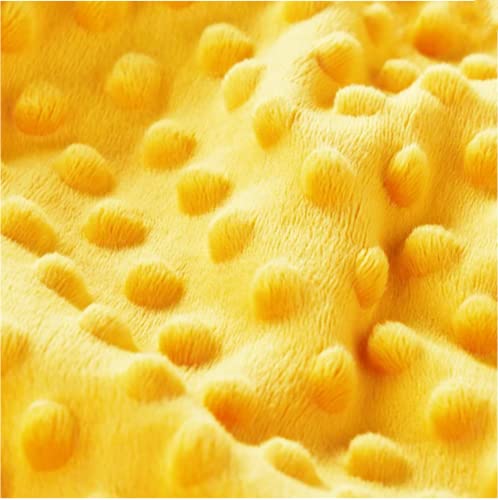 Image of Bee Minky Blanket - Soft Double Layer Plush, Toddler to Newborn, Dotted Backing, Shower Gifts (30 X 40 inches)