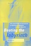 Beating the Labyrinth : The Sustainability of International Co-operation Programmes in Higher Education(Paperback) - 2003 Edition - Ad Boeren