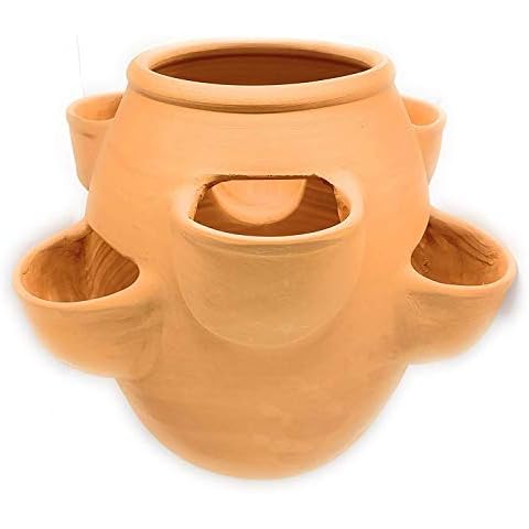 Sun Cakes Large Ceramic Plant Pot Strawberry Terracotta Planter Clay Flower Pot (H32cm) Cover