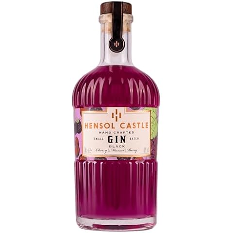 Hensol Castle Black Fruits Flavoured Gin Cover