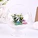Produktbild Einzigartige Home Decor Hydroponischen Aquarium Fisch Glasvase Tank Pflanze Container Terrarium für Schlafzimmer Wohnzimmer Büro, klar