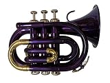 Purple Pocket Trumpet