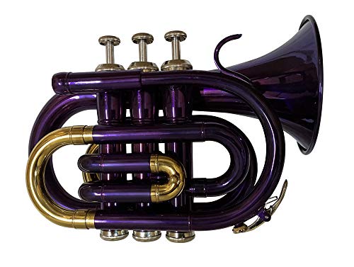 Purple Pocket Trumpet #TOP11