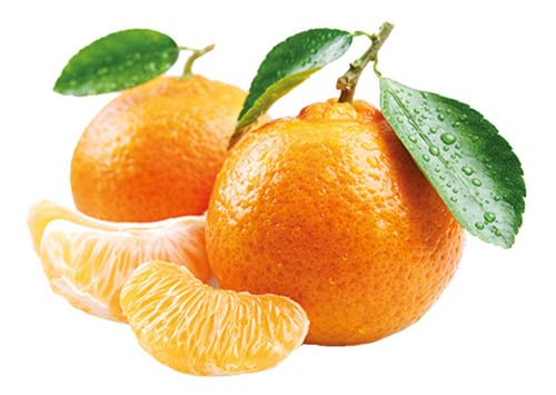 Muda De Tangerina Mexerica Cravo Enxertada Selecionada