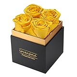 Preserved Roses in a Box 100% Real Rose Flowers Forever Roses That Last a Year, Fresh Flowers for De