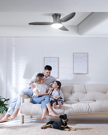 Sararoom 100cm Ventilador de Techo con Luz Silencioso, 3000K-6500K Regulable Plafón LED con Mando y Reversible Motor DC,6 Velocidades,Temporizador,Ceiling Fan light para Dormitorio Salon Cocina,Negro