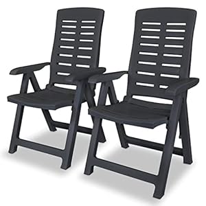 vidaXL tuinstoel tuinstoelen tuin stoel