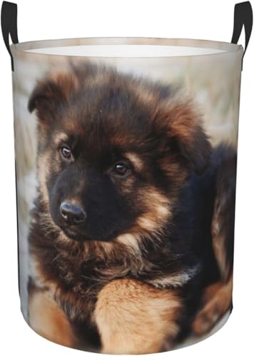 ꂽ̂ ꂽ W[}VFp[h̎q [ 󕨓 [{bNX ܂ e G [obO QA󎺁A oX[̂߂̒E߂ ϋv t h[ M