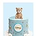 Baby Cake Topper Blue Ball Cake Decor for Boy (a bear)