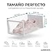 Imagen de AURENZA Cajas de Zapatos Transparentes