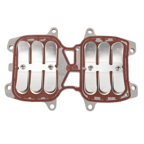 Soupape à Reed en fer aluminium durable pour la maintenance premium des moteurs 40HP