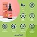 Vitamin B12 Tropfen (50ml) - 500µg Hochdosiert - 2 Aktivformen Methyl- & Adenosylcobalamin - Alkoholfrei & Vegan - Hoch bioverfügbar, laborgeprüft, ohne Zusätze in Deutschland hergestellt