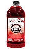 Skinny Red Lotus Plant Energy Drink Concentrate | 64 fl oz | 1:5 | Natural Caffeine from Green Coffee Bean | Zero Sugar