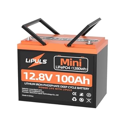 LIPULS 12V100Ah Mini LiFePO4 Lithium Battery, 100Ah Lithium Deep Cycle Battery, Max.1280Wh, 100A BMS, 15000 Cycles, Perfect for Trolling Motor, RV, Camping, Solar Panel