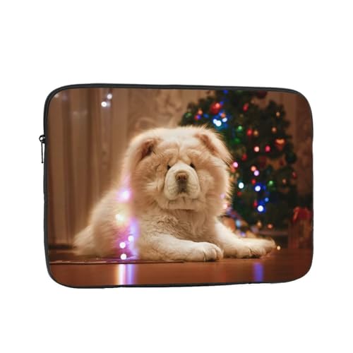 Ή `E`E ӂӂȌ 10 Inch p\RP[X X[u m[gp\Rp̃obO  킢 y