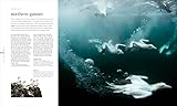 The Science of the Ocean: The Secrets of the Seas Revealed (DK Secret World Encyclopedias) - Image 5