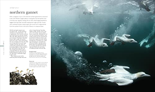 The Science of the Ocean: The Secrets of the Seas Revealed