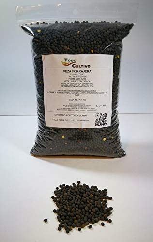 VILLOSA Sowing Time 1 Kilo. Very high Bearing Leguminous Produces Excellent Fodder