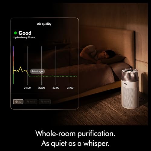 Dyson air purifier Big+Quiet